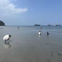 ブログ画像