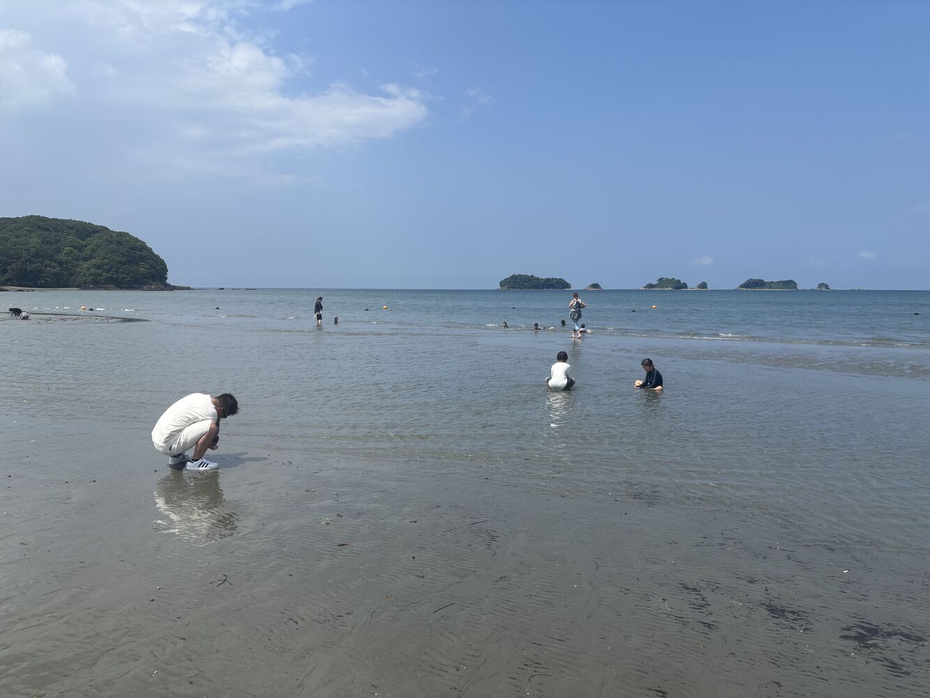 ブログ画像